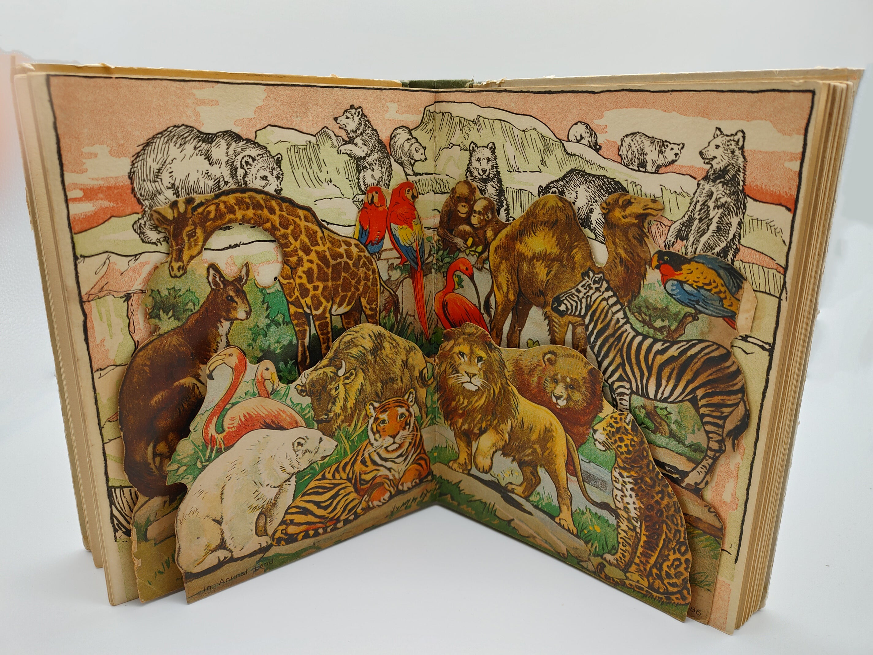 Pop-up from the first edition of the pop-up panorama Told By The Animals (circa 1930s)