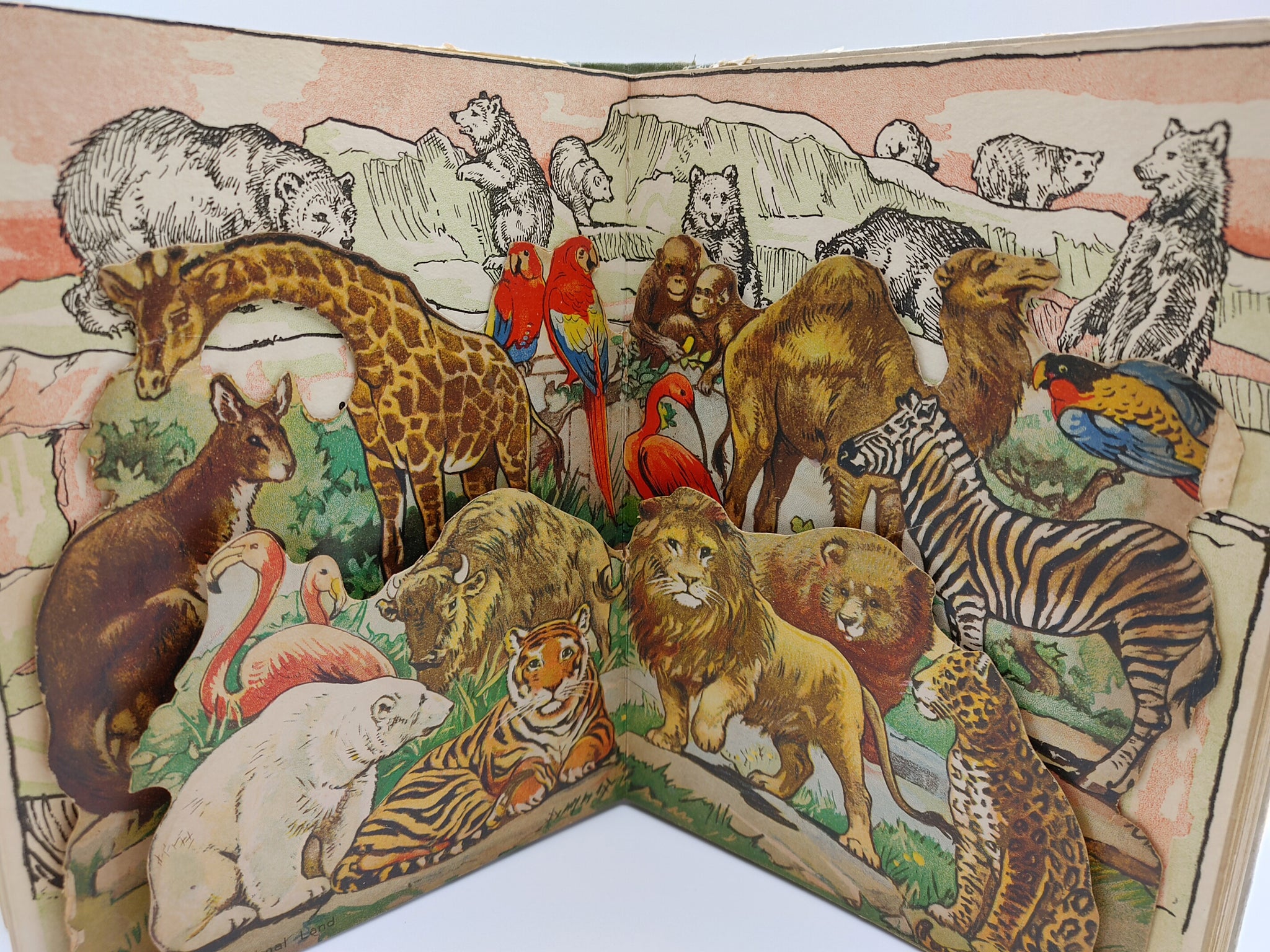 Pop-Up and Moveable Books – Opal Rare Books
