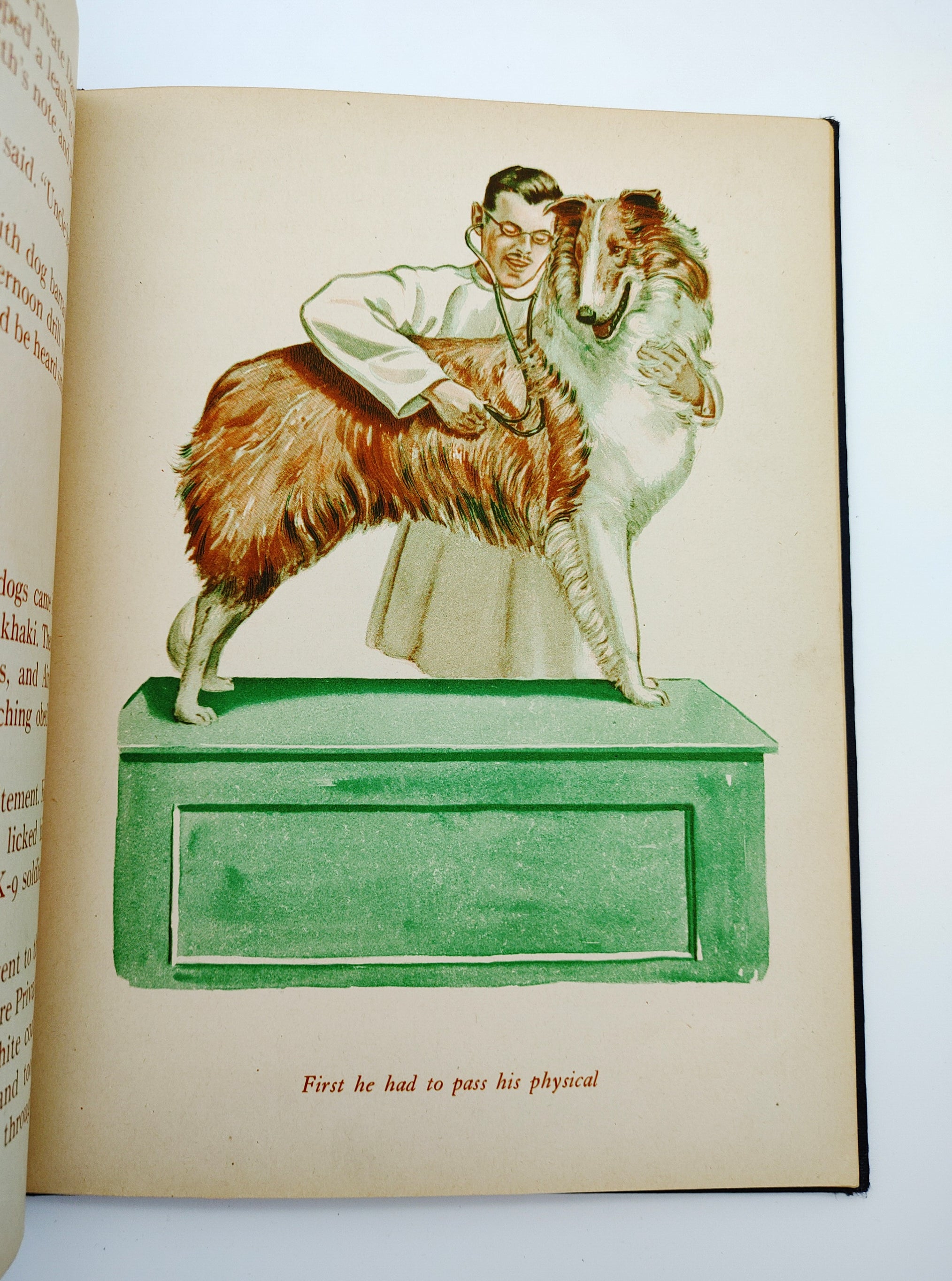 Illustration of dog getting a physical from the first edition of Private Pepper of Dogs for Defense (1943)