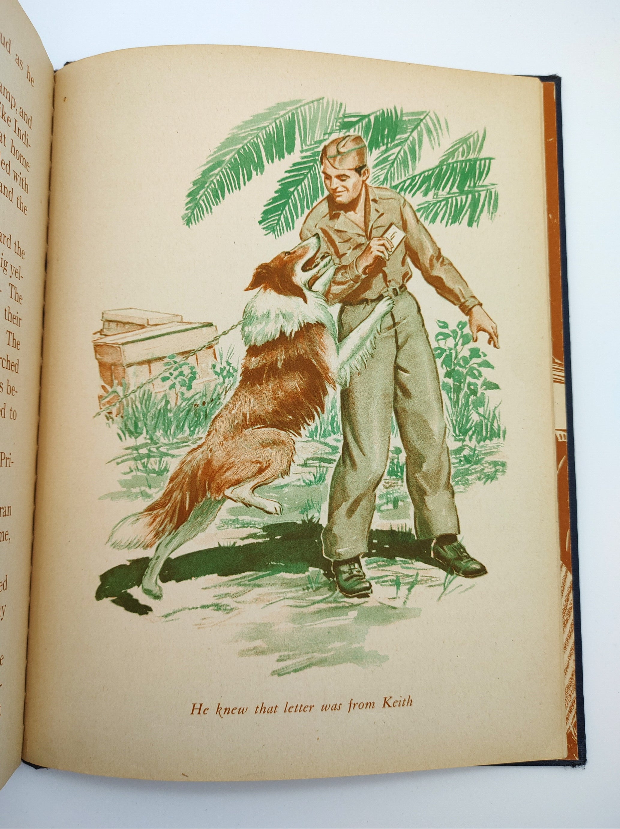 Illustration of dog receiving a letter from the first edition of Private Pepper of Dogs for Defense (1943)