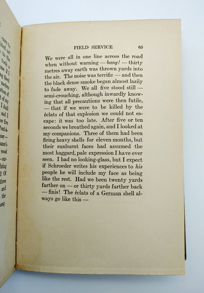 first edition of Buswell's Ambulance No. 10: Personal Letters from the Front (1916)